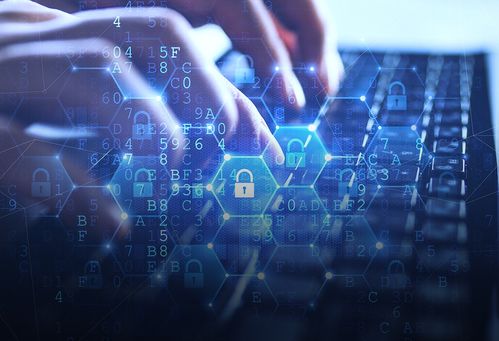 東信和平 傳統(tǒng)業(yè)務(wù)挑戰(zhàn)中破局，外銷毛利率提升與信息安全雙輪驅(qū)動盈利能力改善